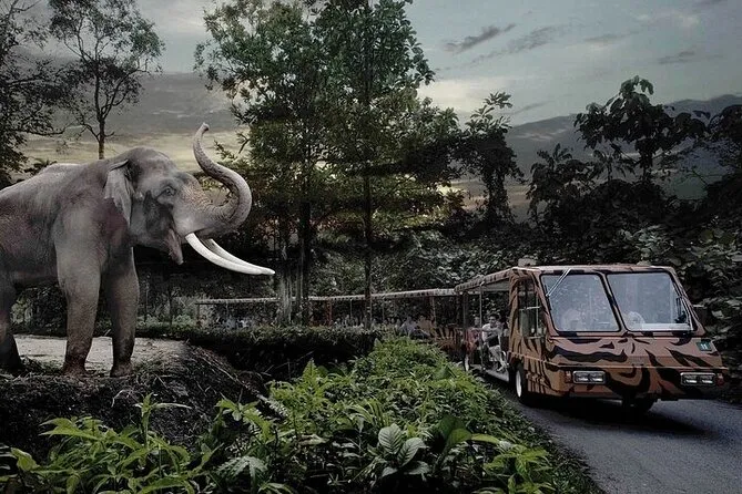 Day 1 – Arrival in Singapore + Night Safari Adventure