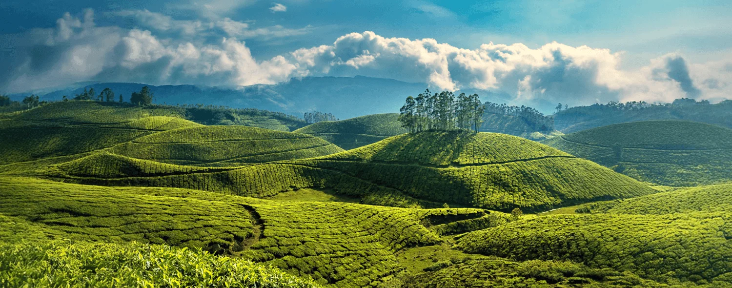 Kerala Tour Package 6N/7D