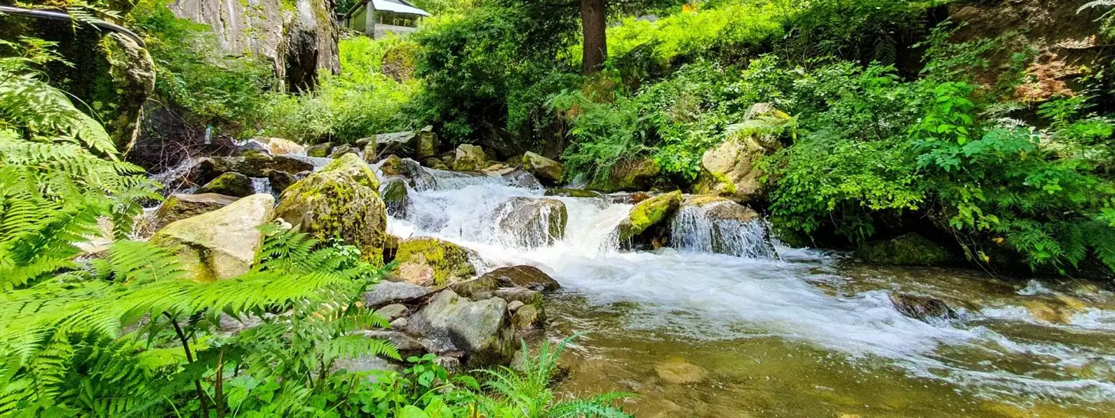 Manali Luxury Package 2N|3D